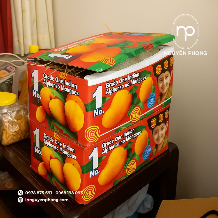 in-hop-carton dung-xoai-gia-re-tai=ha-noi